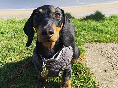 Text to speech not available for this image