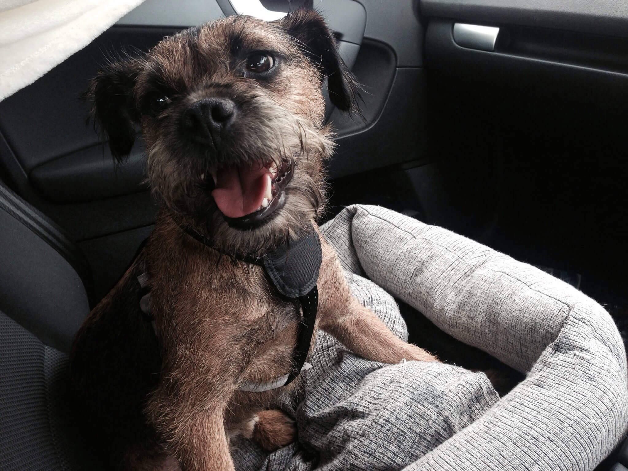 Text to speech not available for this image