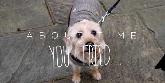 Text to speech not available for this image