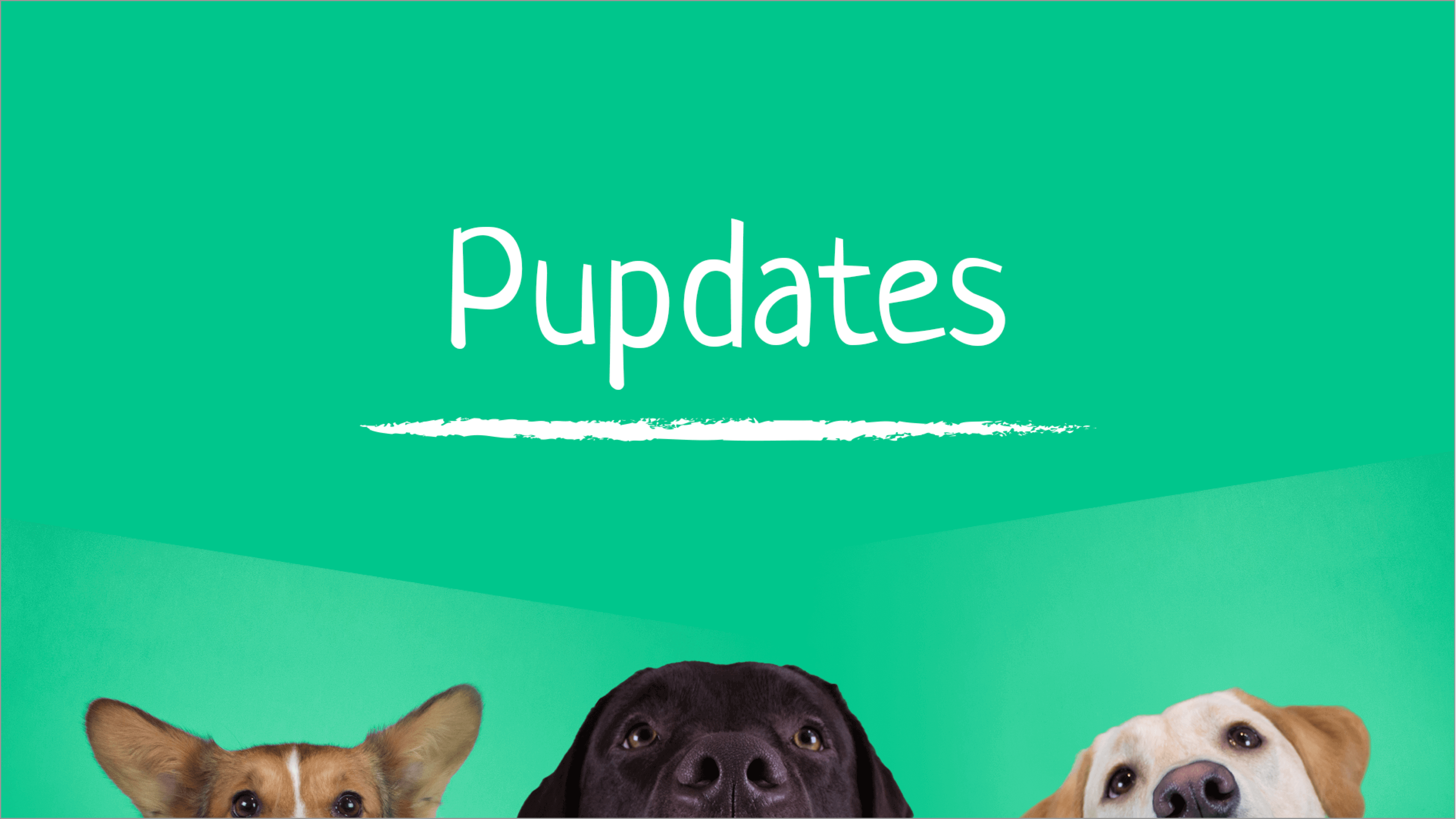 COVID-19: An update about safe dog sharing