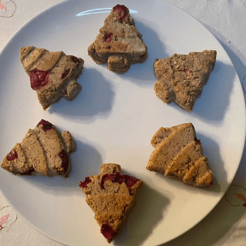 Christmas tree doggy biscuits