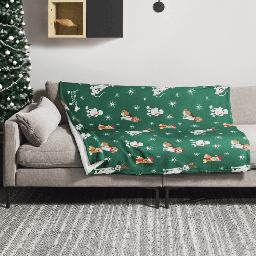Our BorrowMyDoggy festive blanket