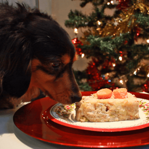 Doggy Christmas dinner