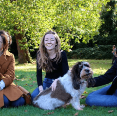 Dog enjoying the park